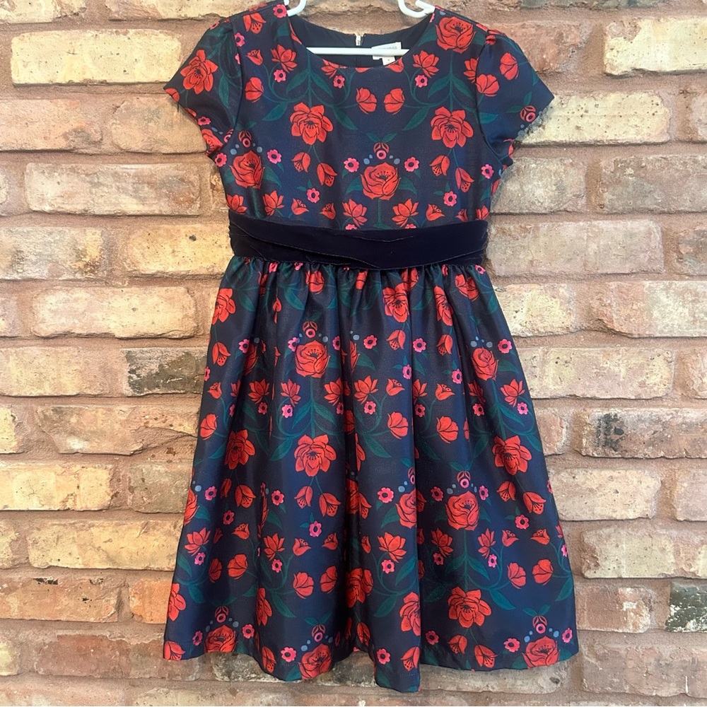 Gymboree Navy and Red Floral Casual Dress